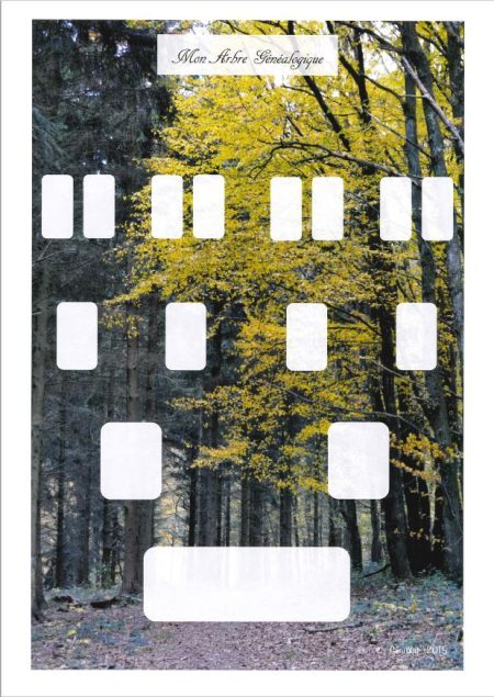 L'arbre G&eacute;niWal 4 g&eacute;n&eacute;rations - Sp&eacute;cial enfant - d&eacute;cor for&ecirc;t